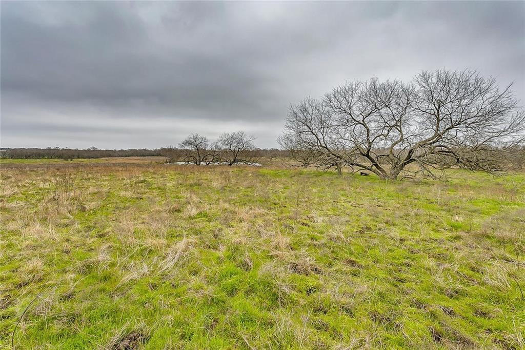 000 Co Road 4056 - Photo 1