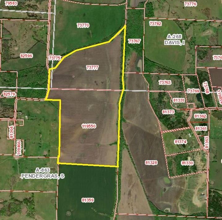 tbd County Road 4235 - Photo 1