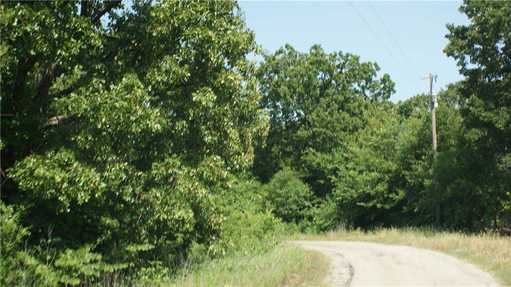 TBD Waco Bay Loop - Photo 1