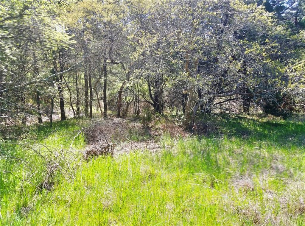 1121 Millcreek Trail - Photo 1