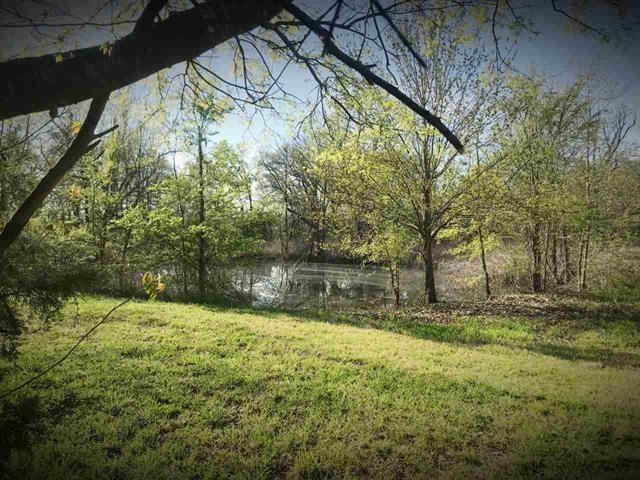 9837 Farm Road 195 - Photo 1