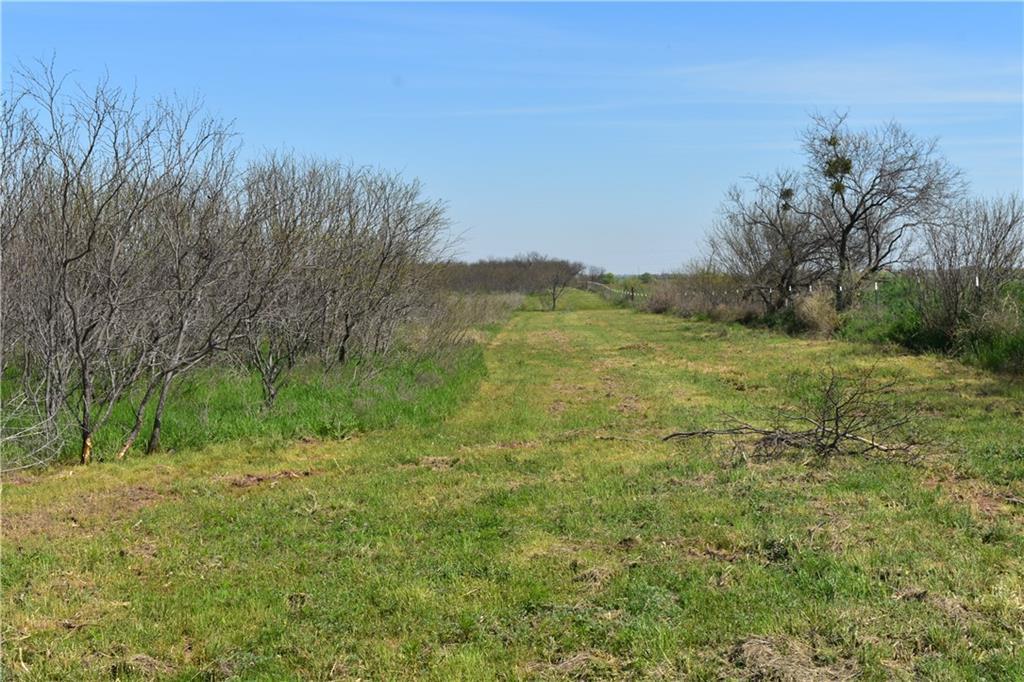 00 Red Robin Lane - Photo 1