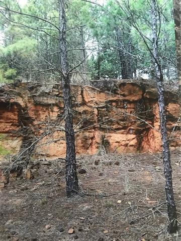TBD Fcr 361 - Photo 1