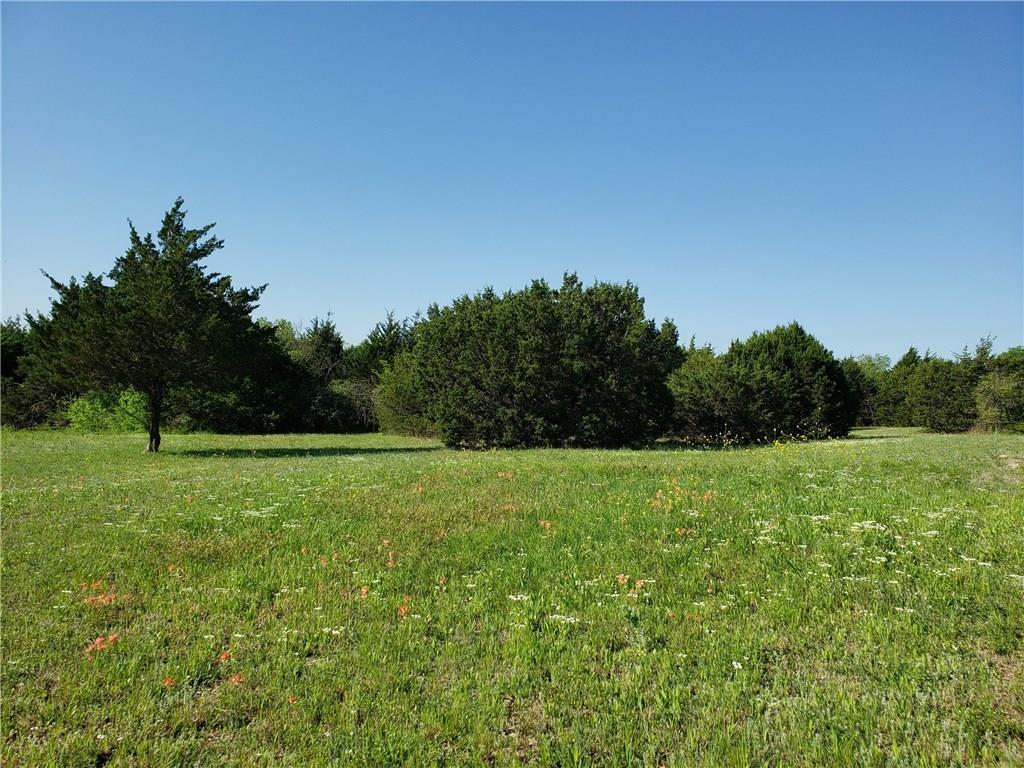 2310 Big Horn Drive - Photo 1
