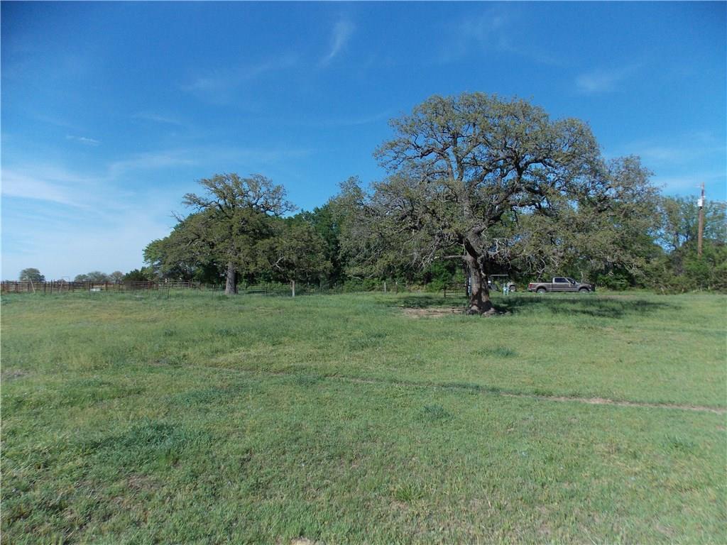 TBD 1 Wild Cat Knob Road - Photo 1