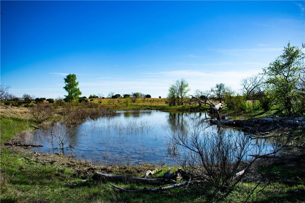 1009 County Road 412 - Photo 1