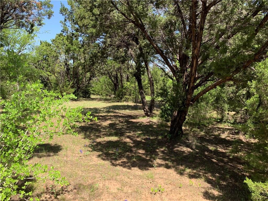 1379 Spring Valley Trail - Photo 1