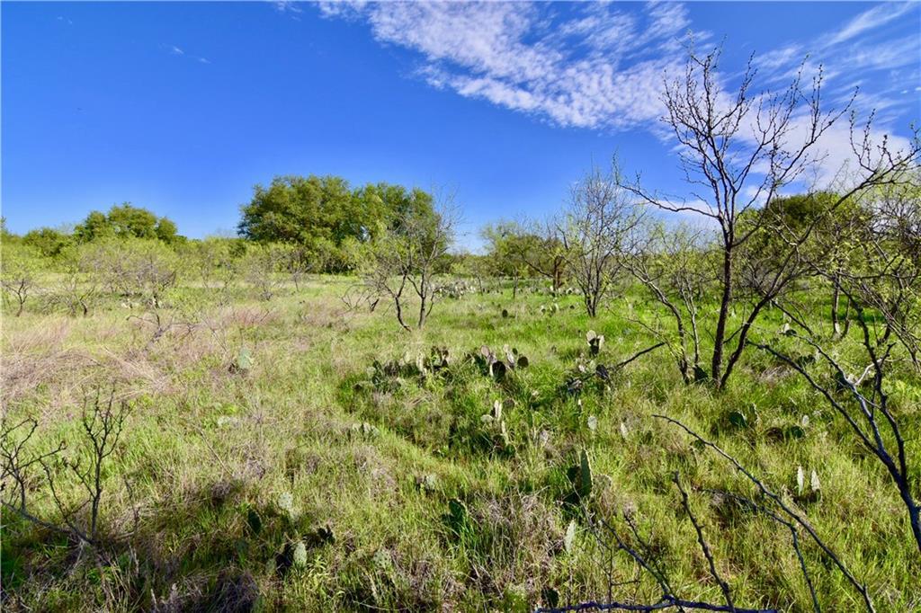 TBD County Road 456 - Photo 1