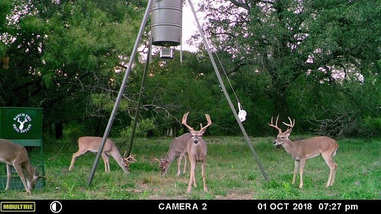 6005 Hwy 84-183 - Photo 1