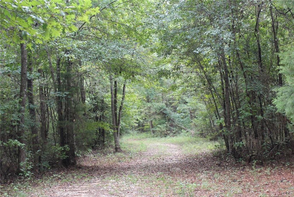 TBD Cr 3807 - Photo 1