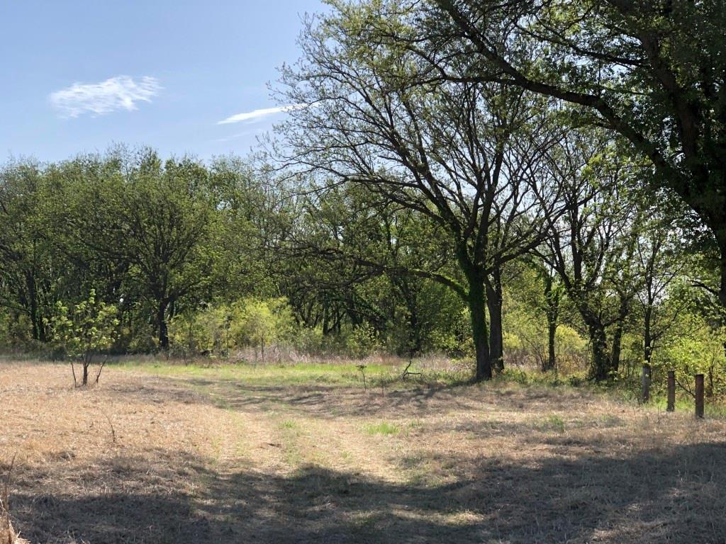 TBD Co Road 252 - Photo 1