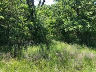 0 County Road 2100 - Photo 1