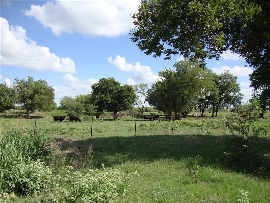 17 ac County Rd 2620 - Photo 1