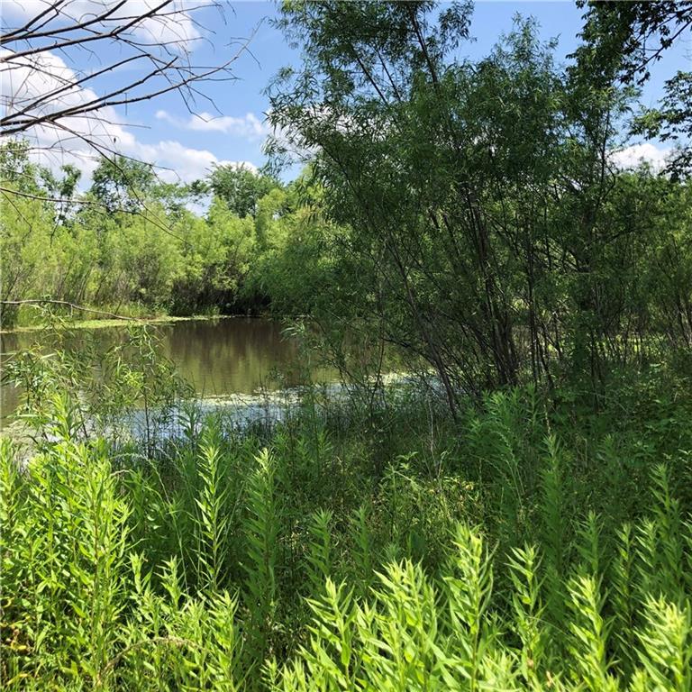 TBD Hwy 377 - Photo 1