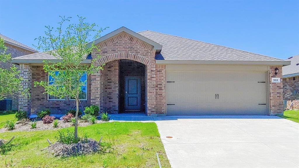 803 Rustic Meadows Trail - Photo 1