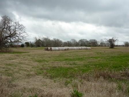 TBD Northline Road - Photo 1