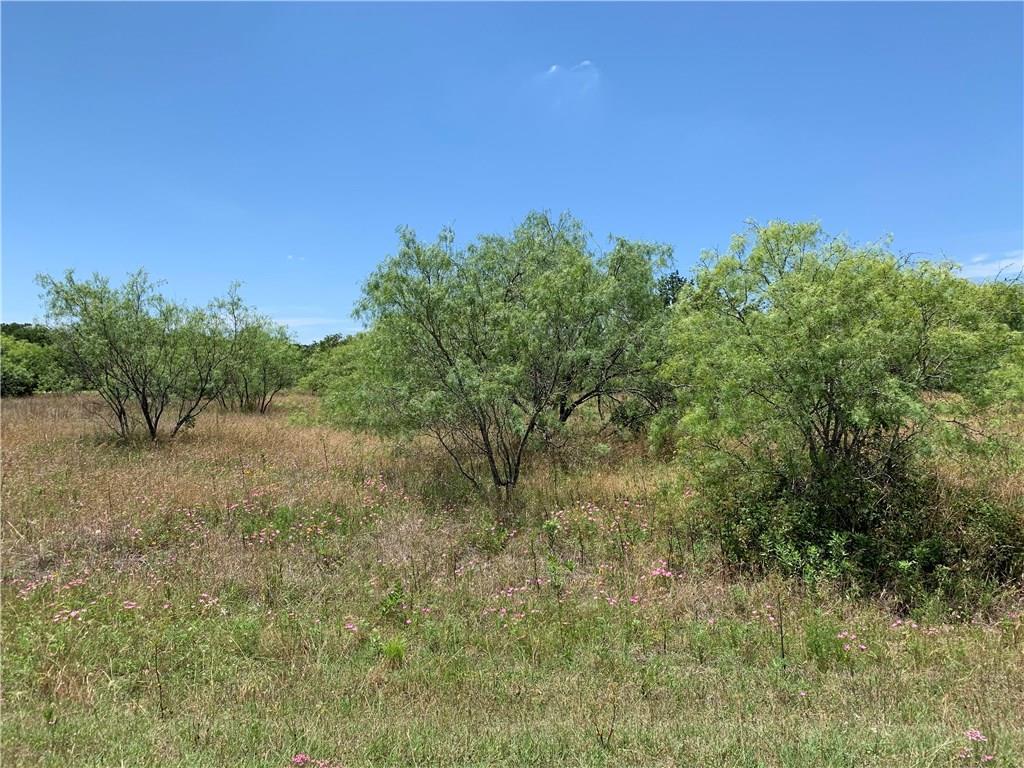 24162 Springwood Lane - Photo 1