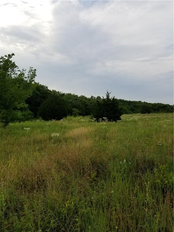 0 Shady Lane - Photo 1