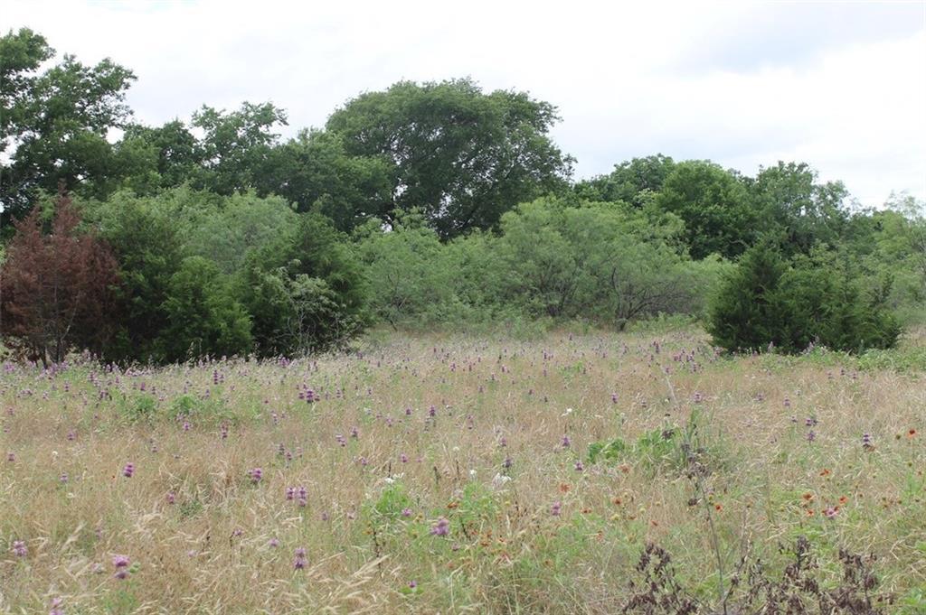111 Fm 2960 - Photo 1