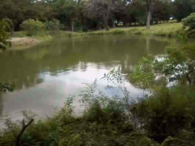 Lot 6 Grandview Drive - Photo 1