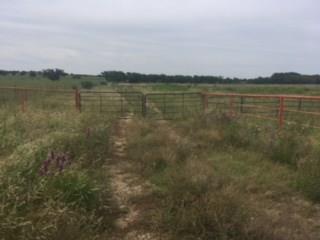 TBD Hwy 1689 - Photo 1