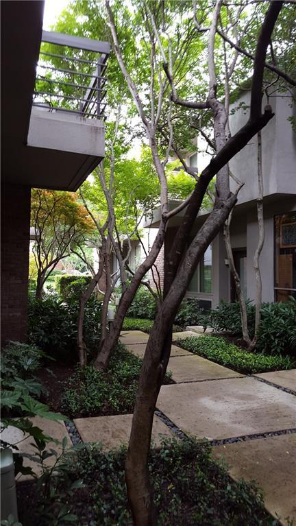 3944 Buena Vista Street - Photo 1