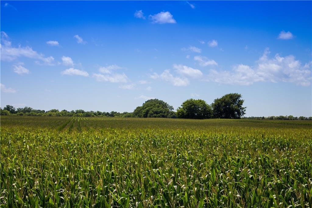 33 Acre Fm 1377 - Photo 1