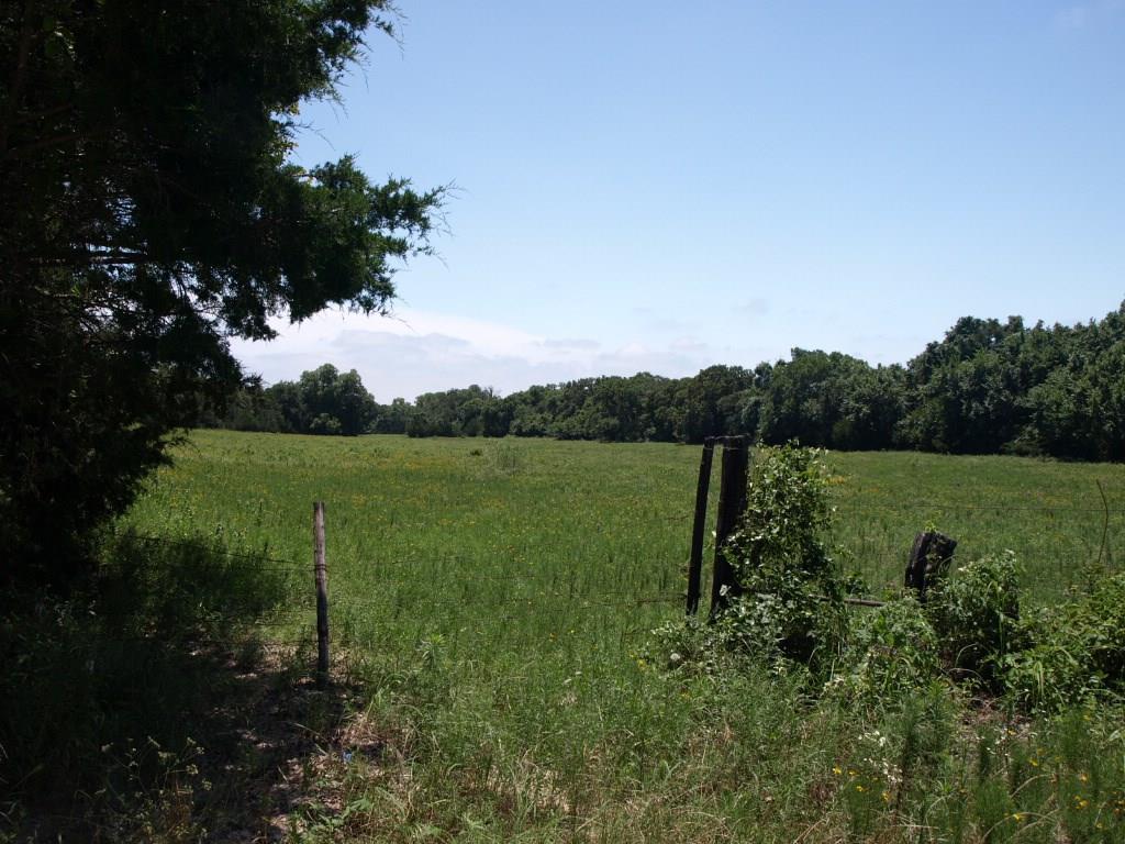 CR 2475 - Photo 1