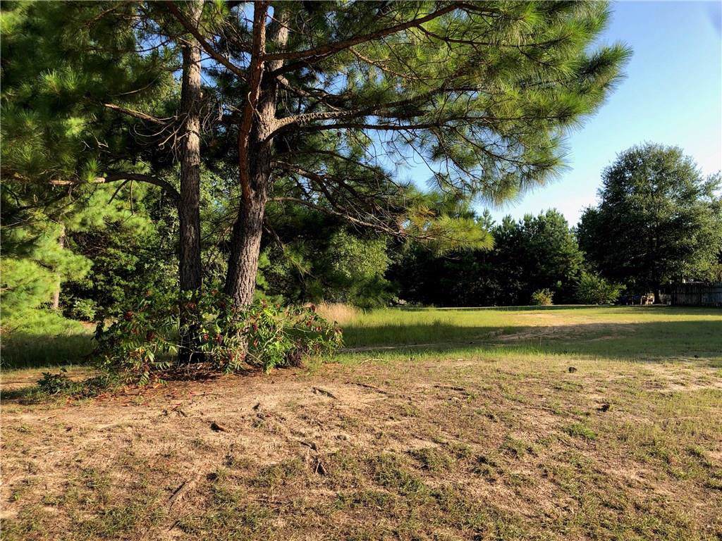 14132 County Road 2370 - Photo 1