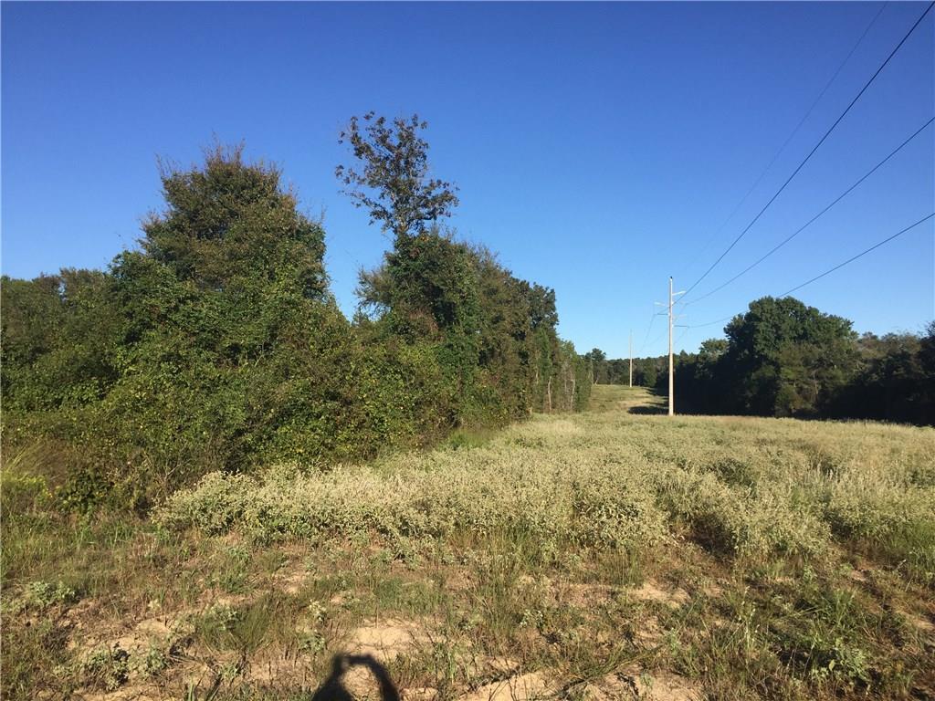 11020 Cr 3909 Road - Photo 1