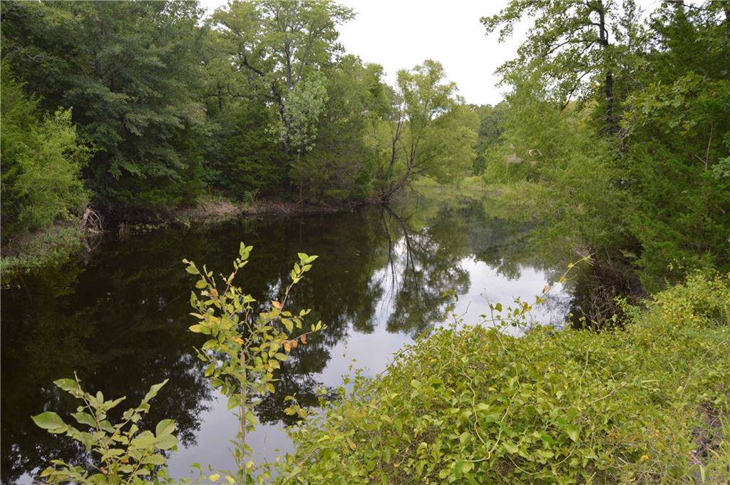 TBD County Road 133 - Photo 1
