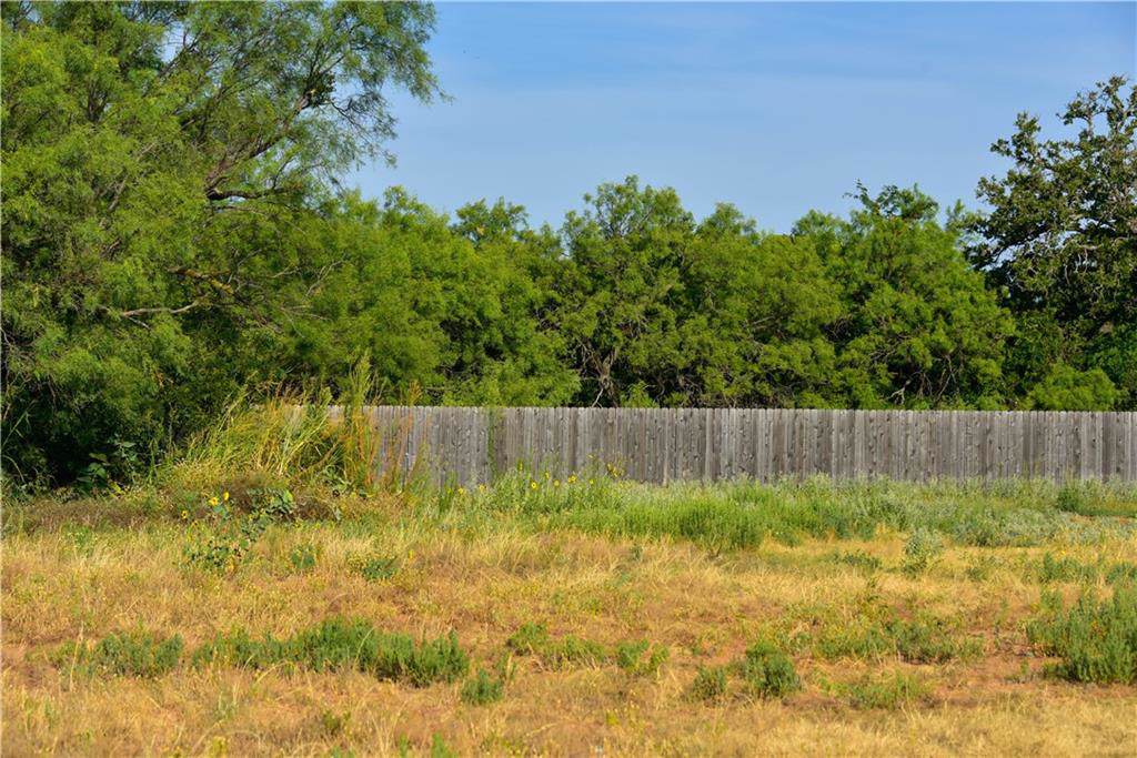 2410 Savanah Oaks - Photo 1