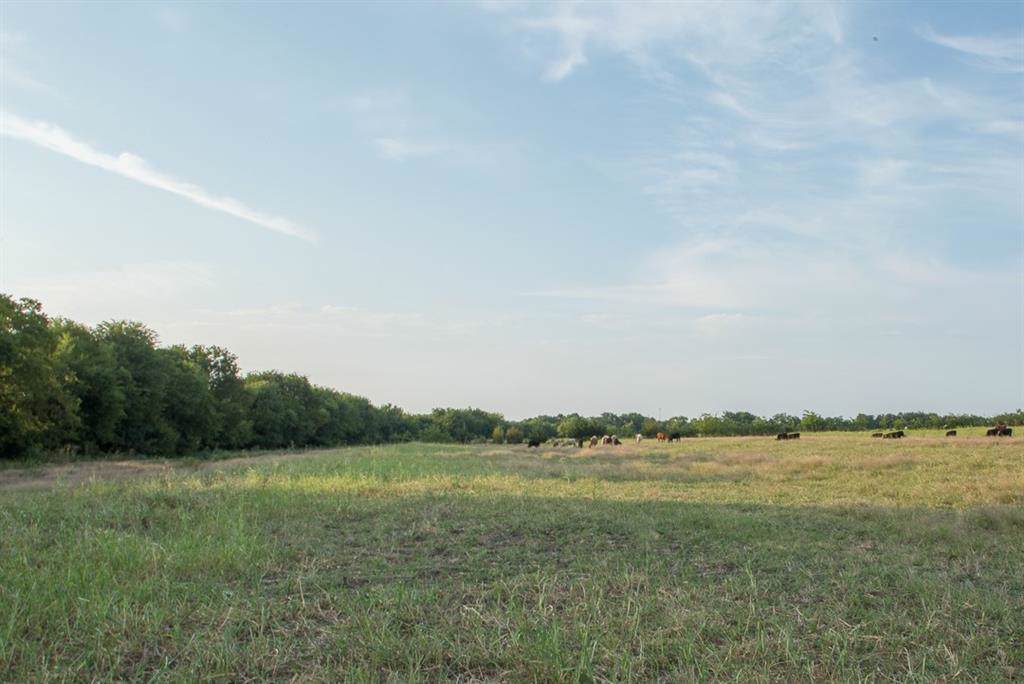 Tract 3 Farmington Road - Photo 1