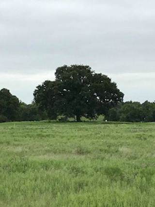 129 Katy Ranch Drive - Photo 1