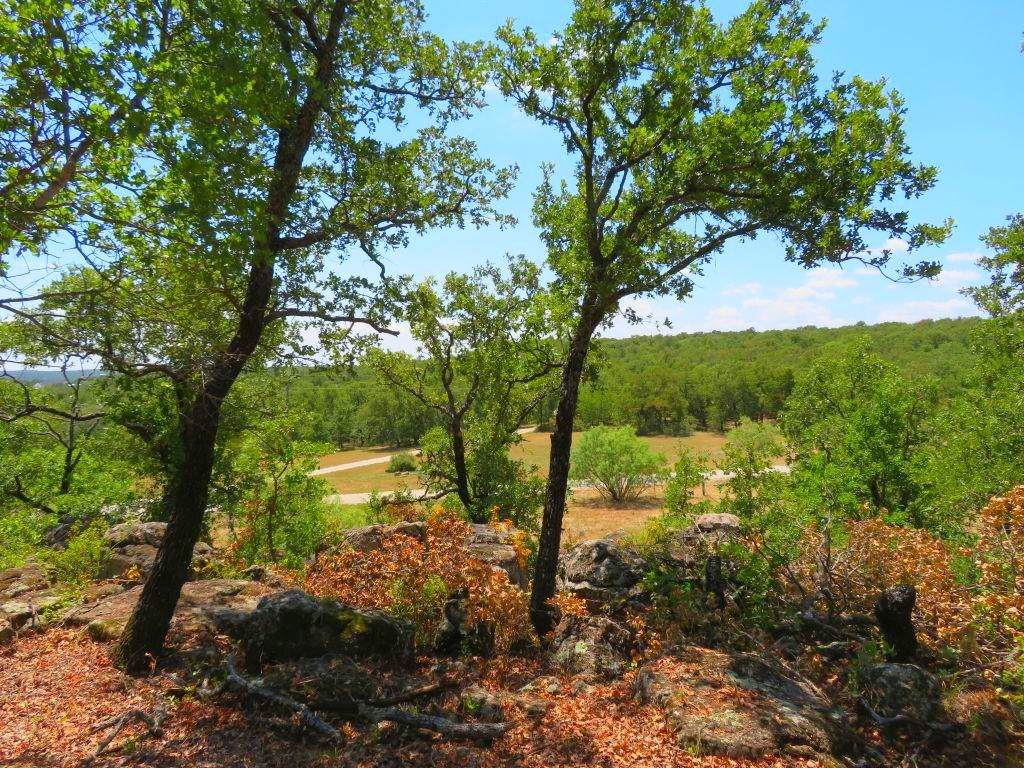 0 Lake Ridge Blvd. - Photo 1