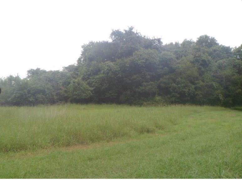 000 Wild Rose Court - Photo 1