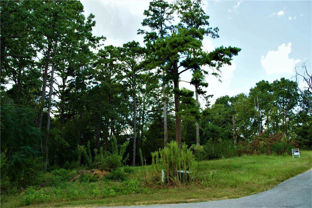 11524 Drakes Landing - Photo 1