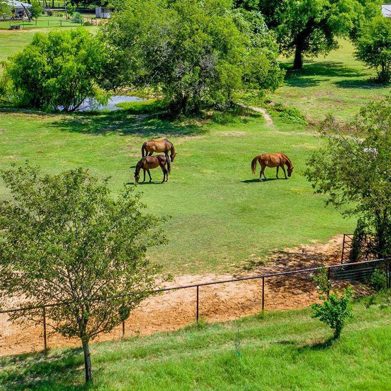 531 Jeter Road - Photo 1