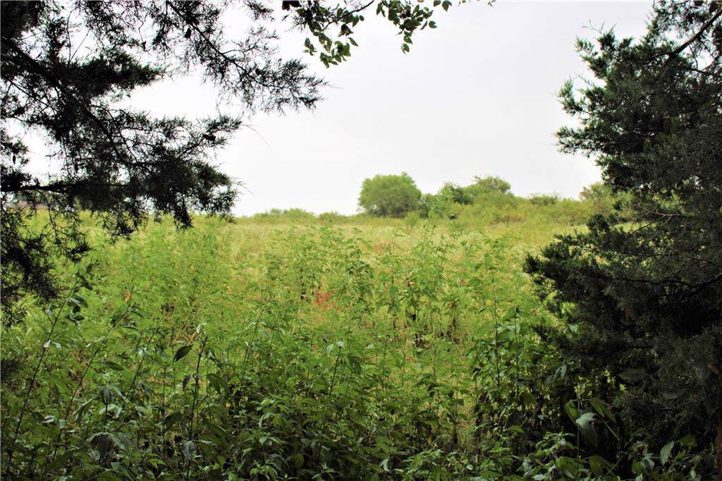 TBD 709 - Photo 1