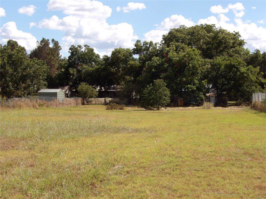 0.745AC I-20 Access Road - Photo 1