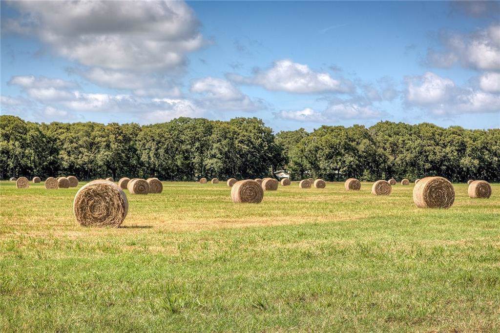0 County Road 120 - Photo 1