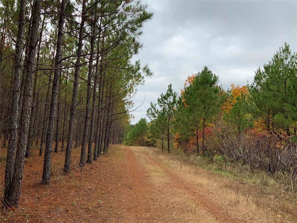 ABC County Road 2303 - Photo 1