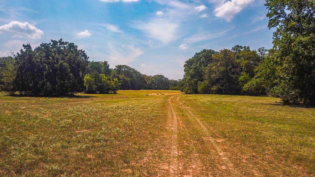 TBD County Road 452 - Photo 1