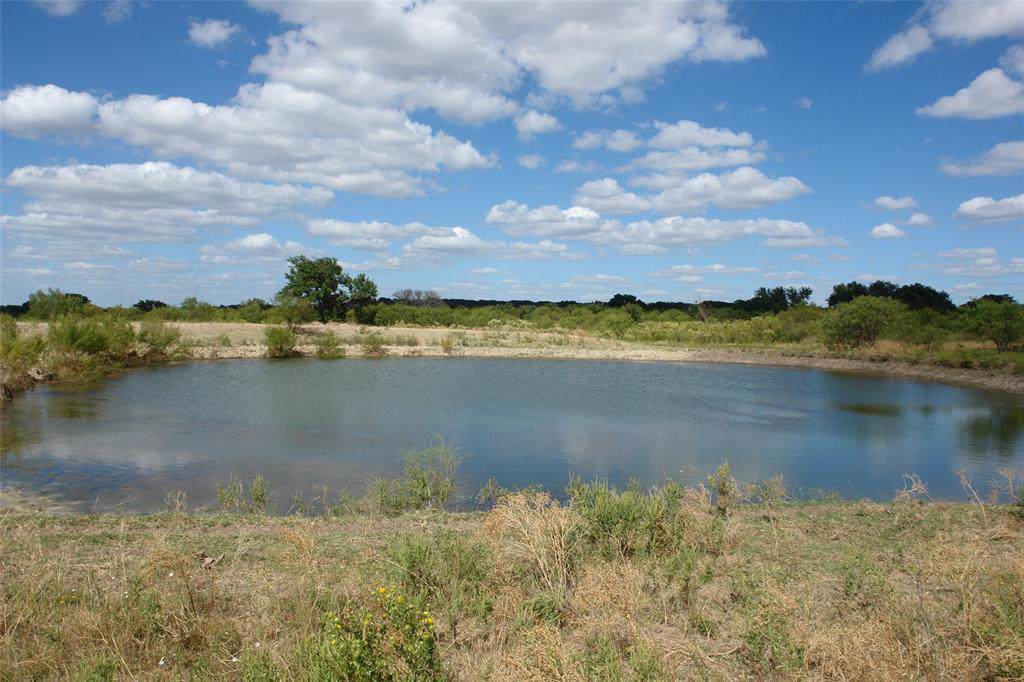 TBD County Road 193 - Photo 1