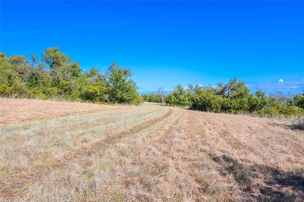 TBD County Road 465 - Photo 1