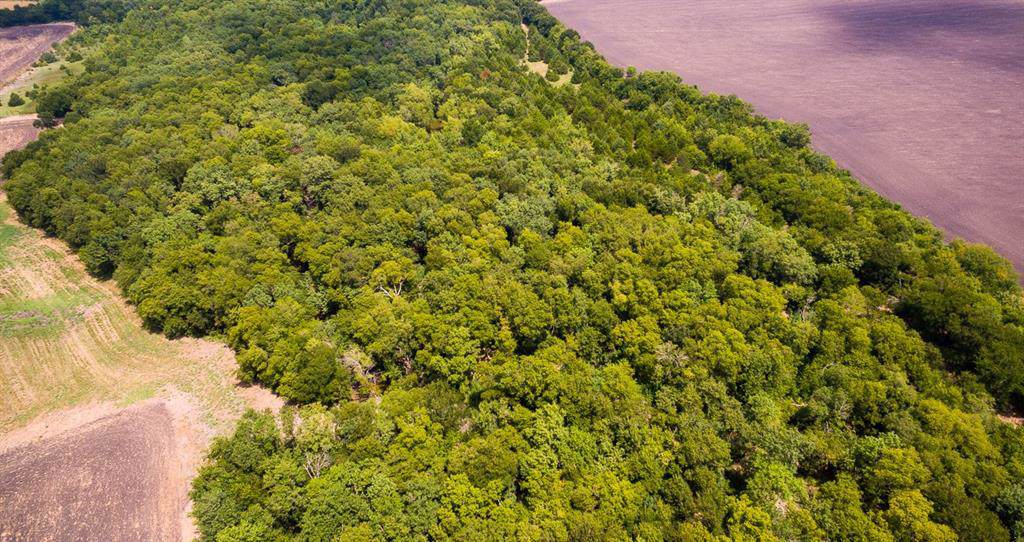 TBD County Road 638 - Photo 1