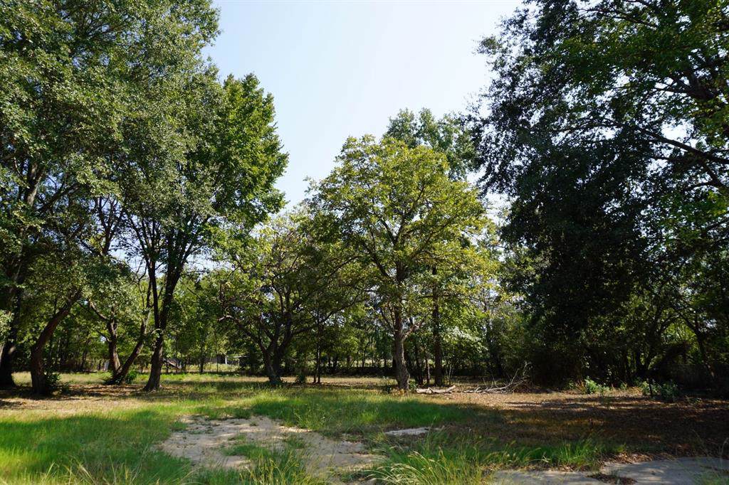 8301 Hwy 19 - Photo 1