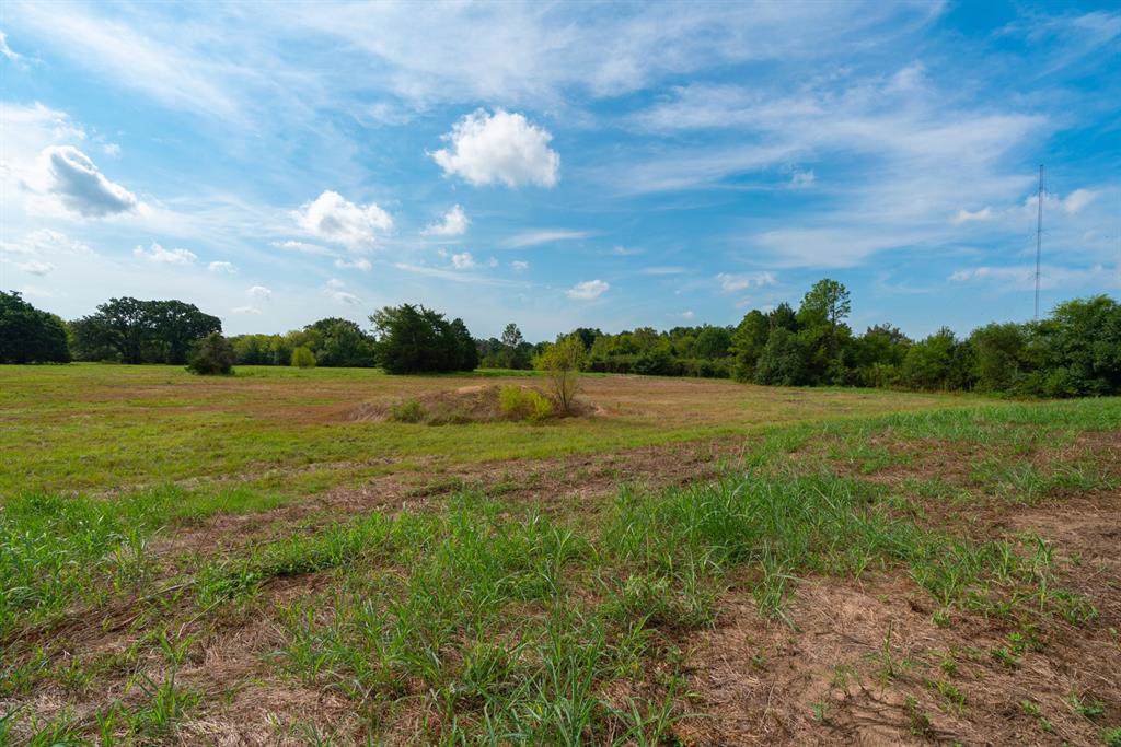 TBD Bill Bradford Road - Photo 1