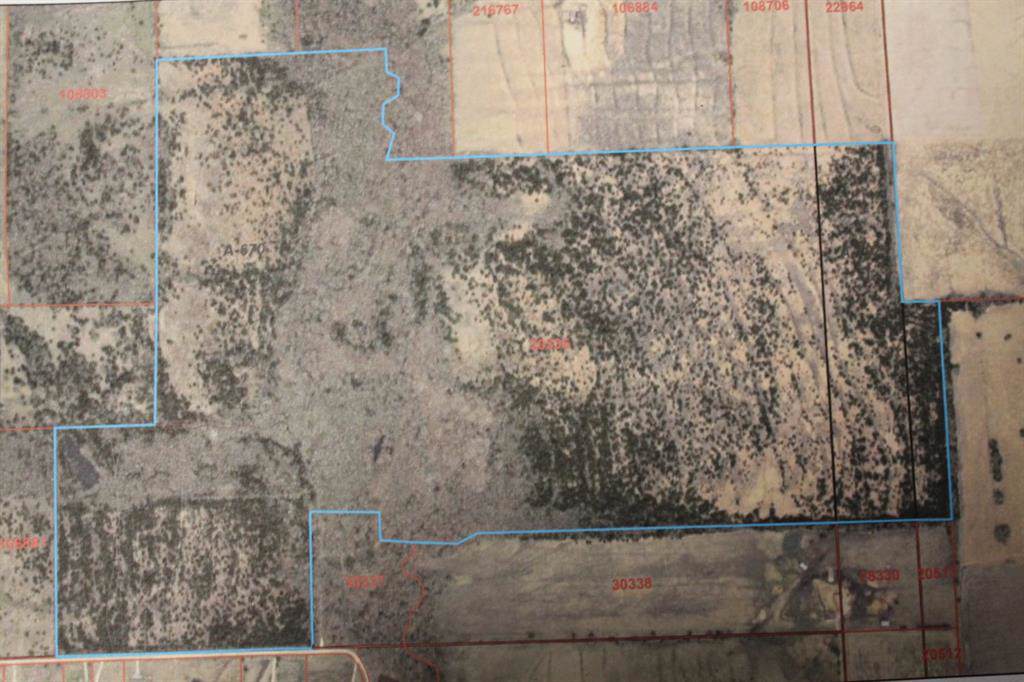 243 Ac. Cr 1116 - Photo 1
