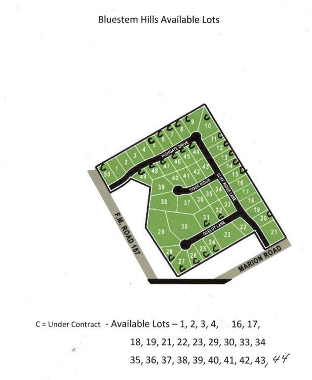 38 Triger Ridge - Photo 1